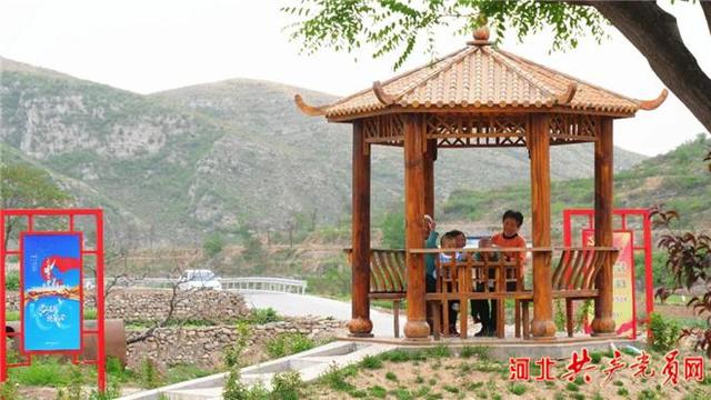 河北磁县：苗木产业助力乡村振兴
