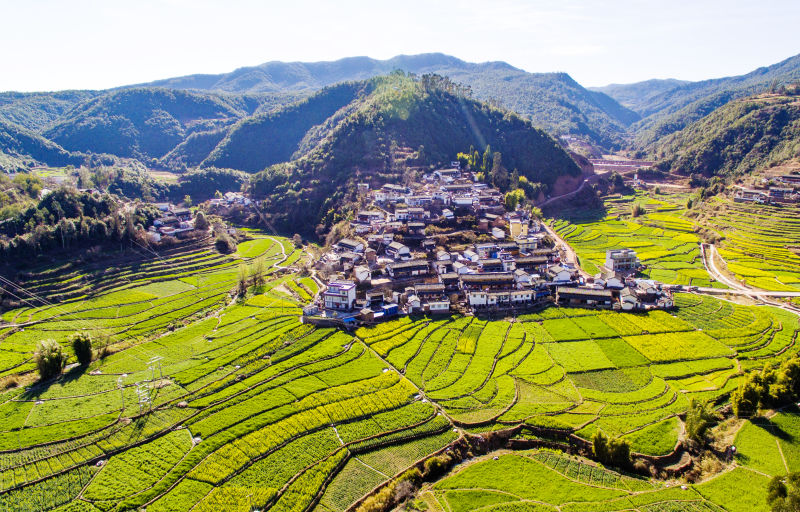 留住乡愁 守护美丽乡村 “乡愁楚雄”评选——美丽村庄提名