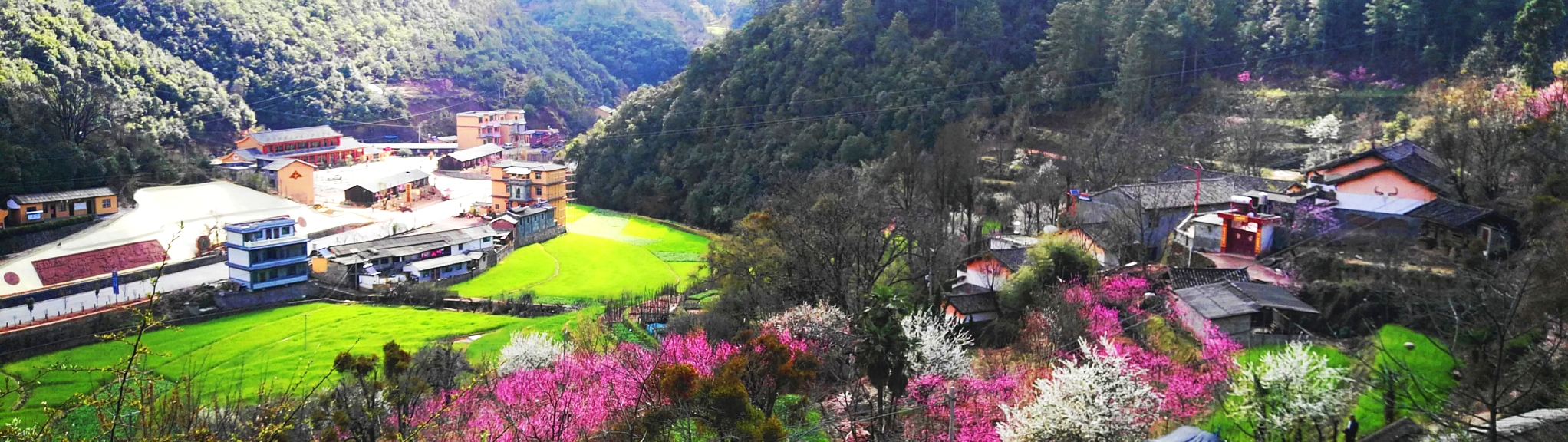 留住乡愁 守护美丽乡村 “乡愁楚雄”评选——美丽村庄提名