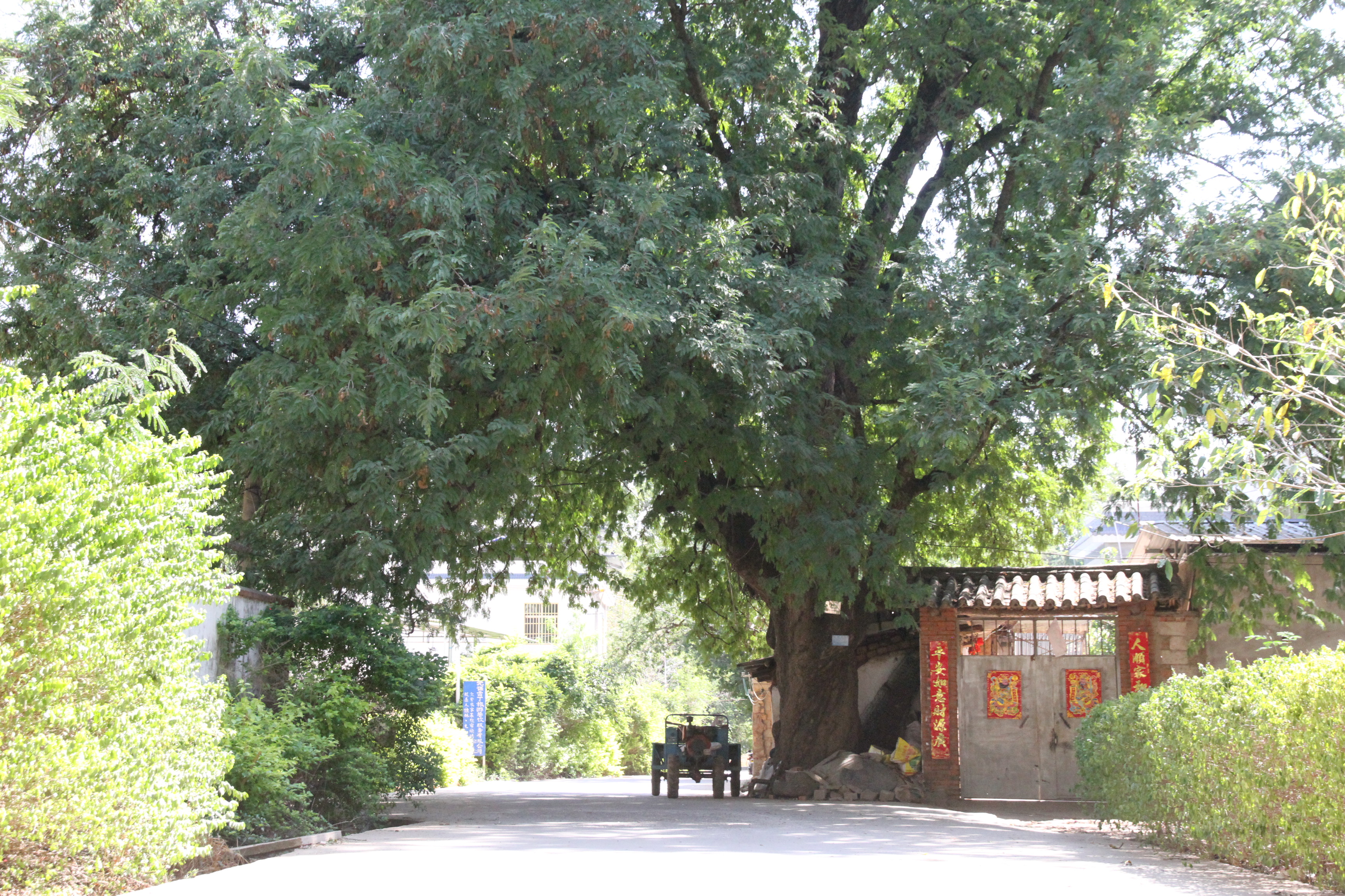 留住乡愁 守护美丽乡村 “乡愁楚雄”评选——美丽村庄提名