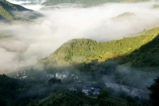 【央媒头条全球推介】｜当夏天遇上云海！这样的仙气康县你爱了吗？