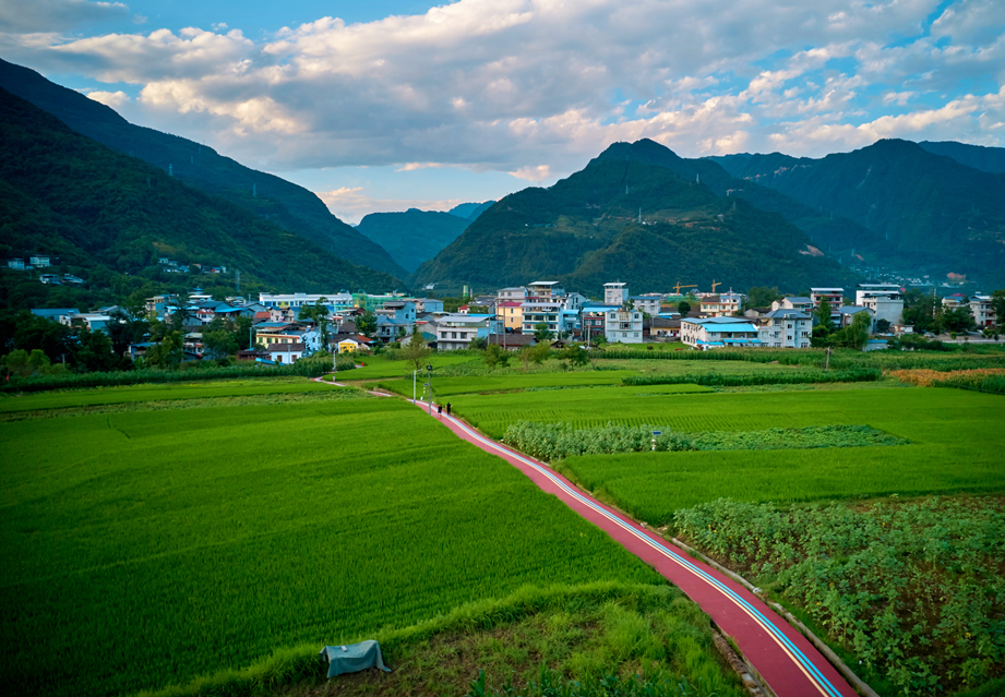 蝉鸣鸟啼的田园牧歌,藏在四川那抹绿色里!