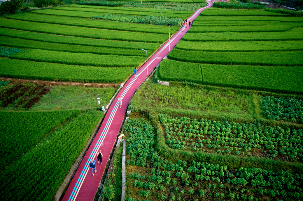 蝉鸣鸟啼的田园牧歌,藏在四川那抹绿色里!