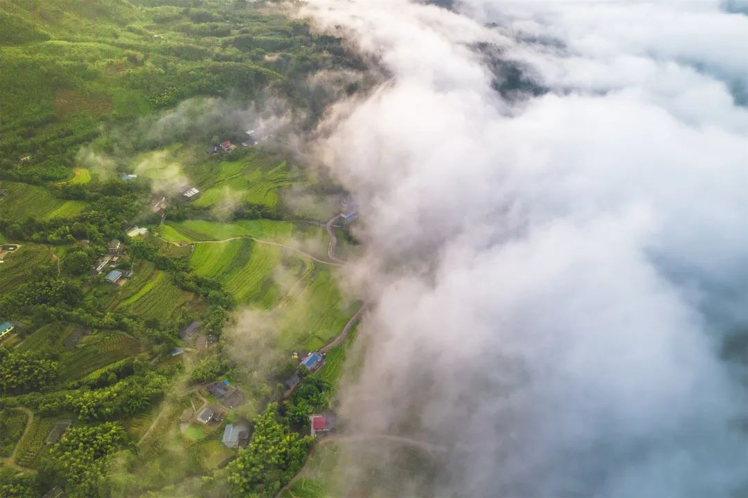 蝉鸣鸟啼的田园牧歌,藏在四川那抹绿色里!
