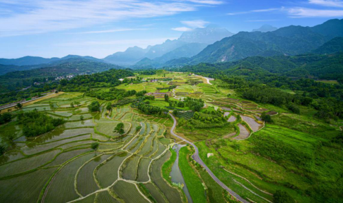 蝉鸣鸟啼的田园牧歌,藏在四川那抹绿色里!