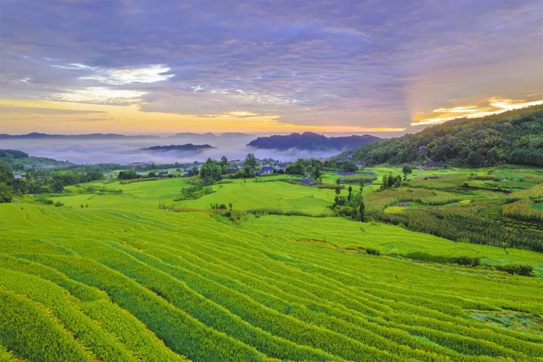 蝉鸣鸟啼的田园牧歌,藏在四川那抹绿色里!