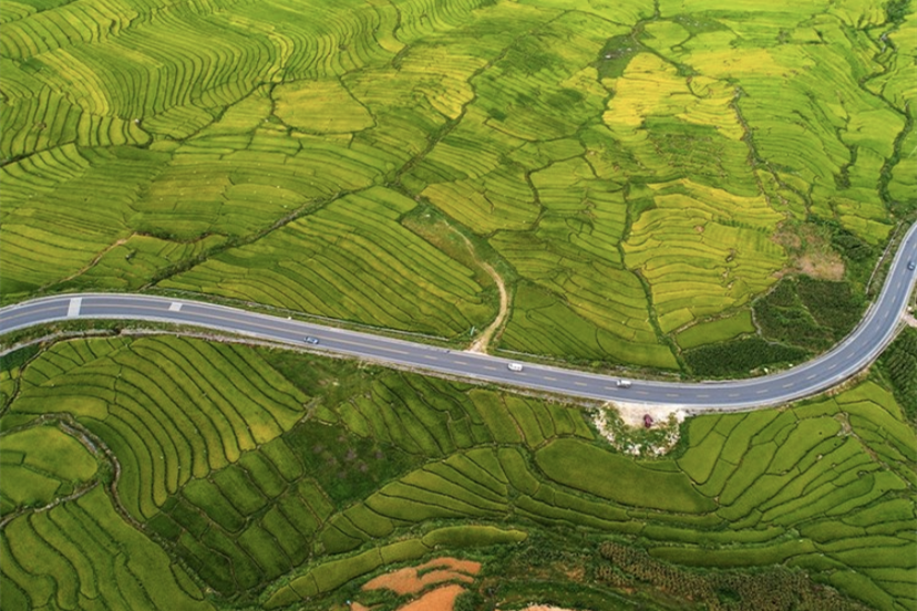 蝉鸣鸟啼的田园牧歌,藏在四川那抹绿色里!