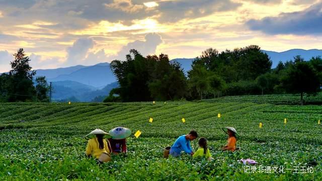 乡游黔中 · 湄潭 一壶茶、一条河、一座山、一场好梦