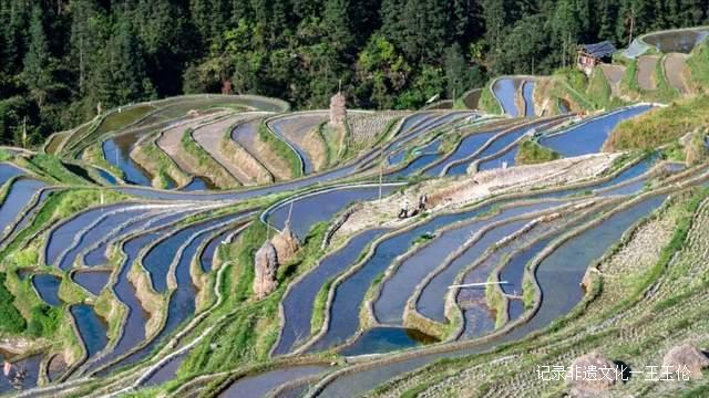 贵州加榜梯田进入注水季，季季都能看到不同美景