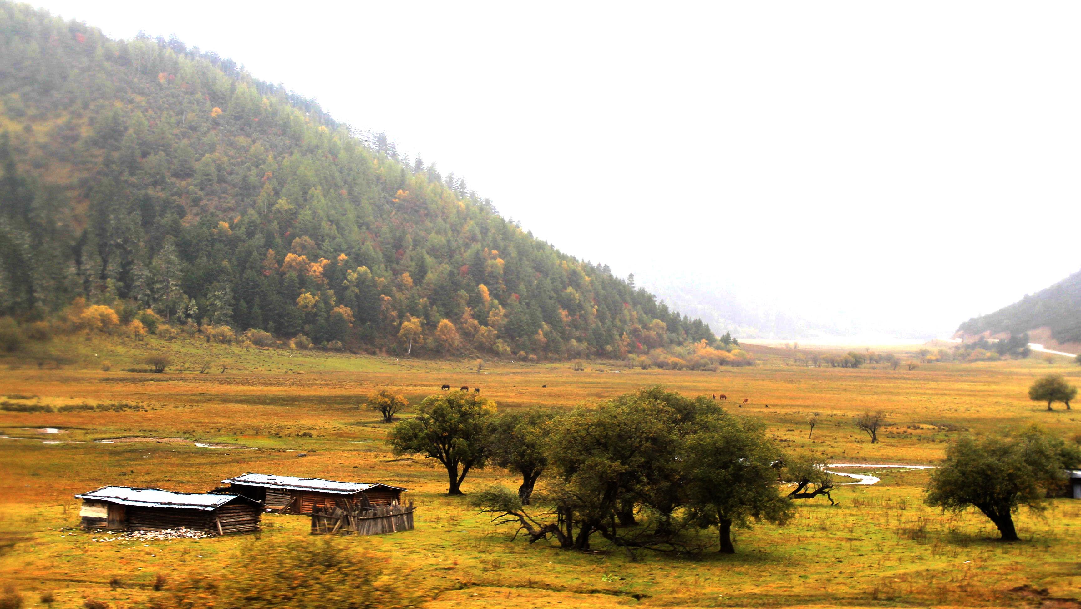 香格里拉赛马节‖相聚“心中的日月”，驰骋在“消失的地平线”