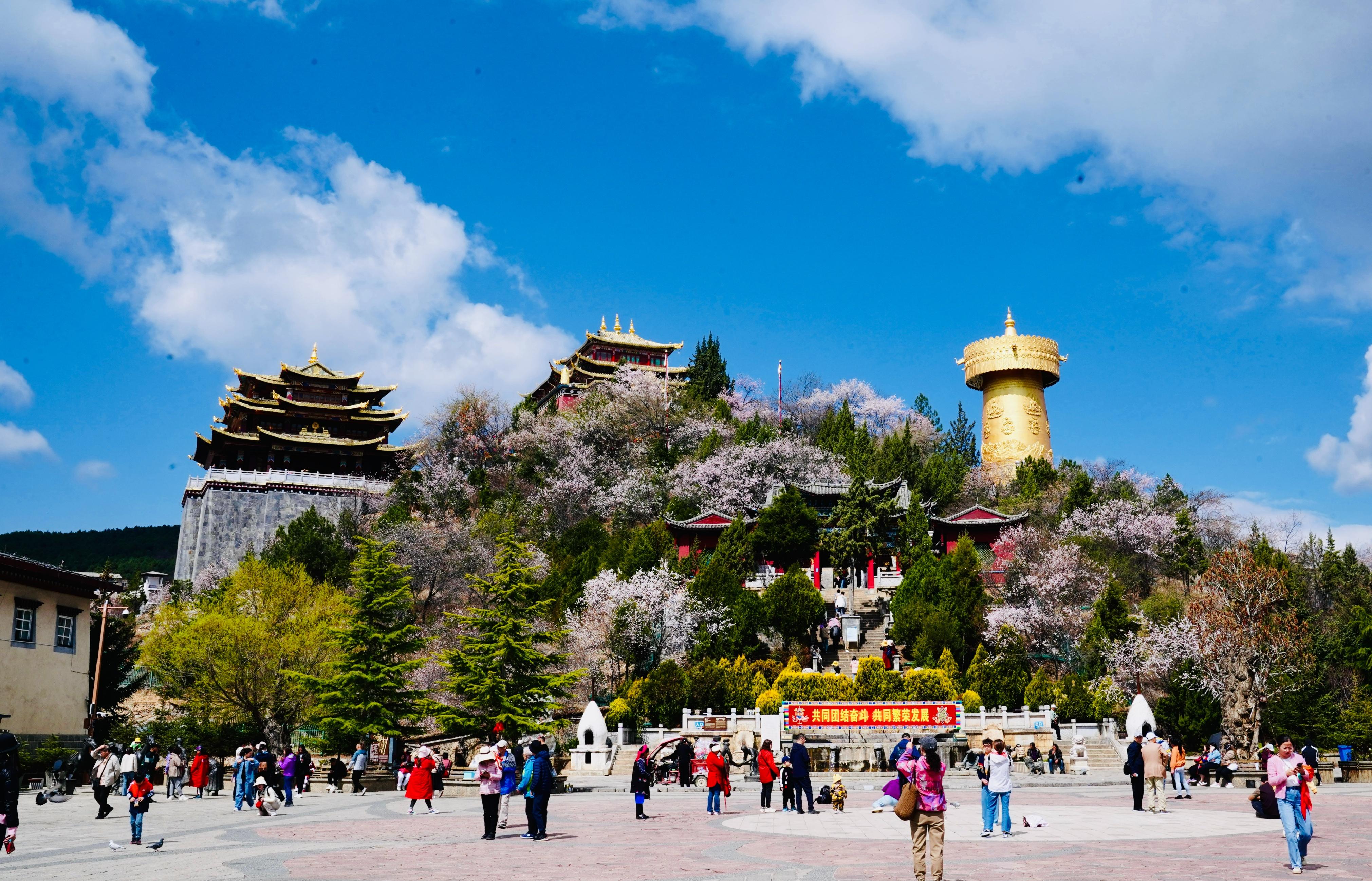 香格里拉赛马节‖相聚“心中的日月”，驰骋在“消失的地平线”