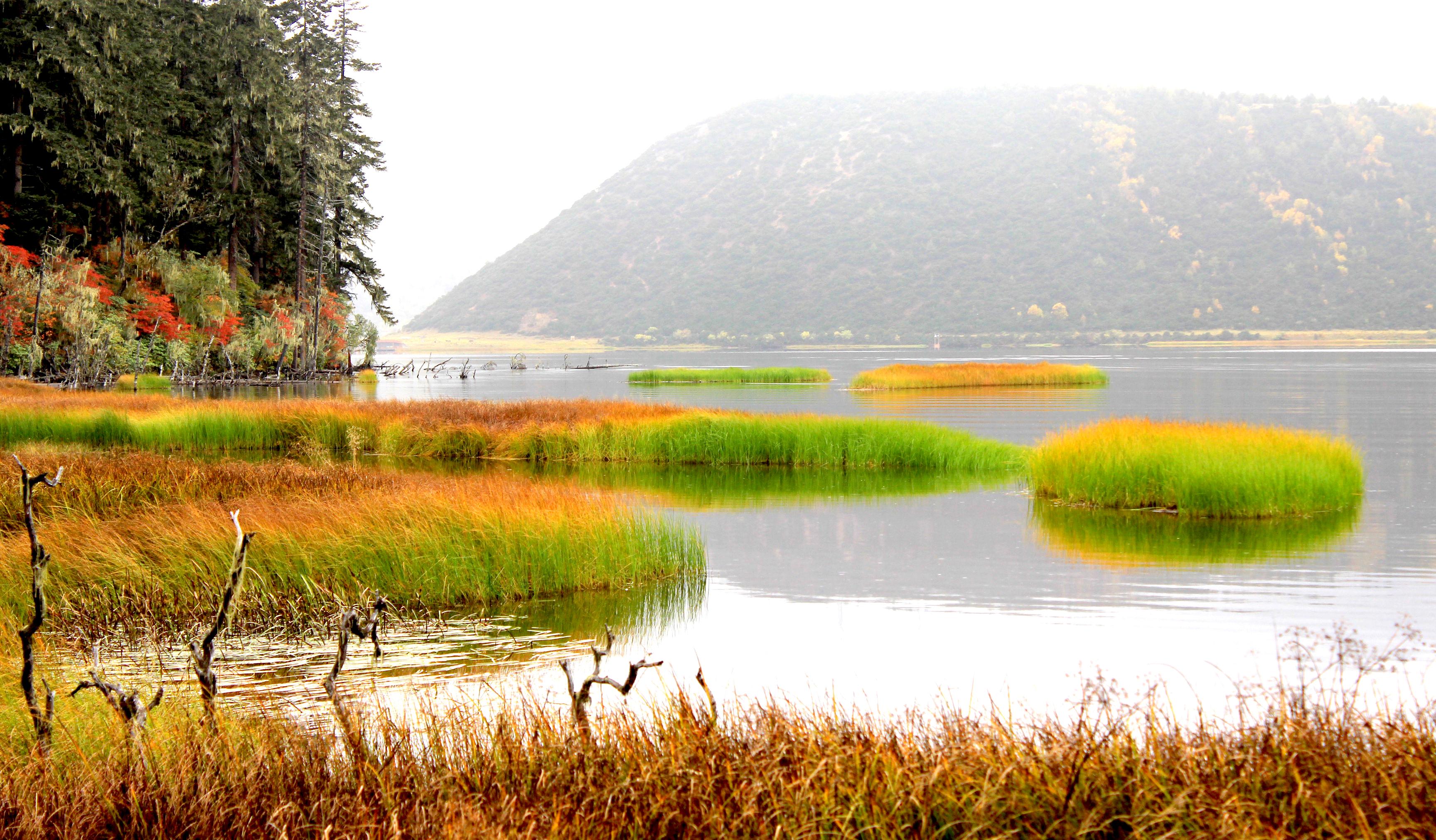 香格里拉赛马节‖相聚“心中的日月”，驰骋在“消失的地平线”