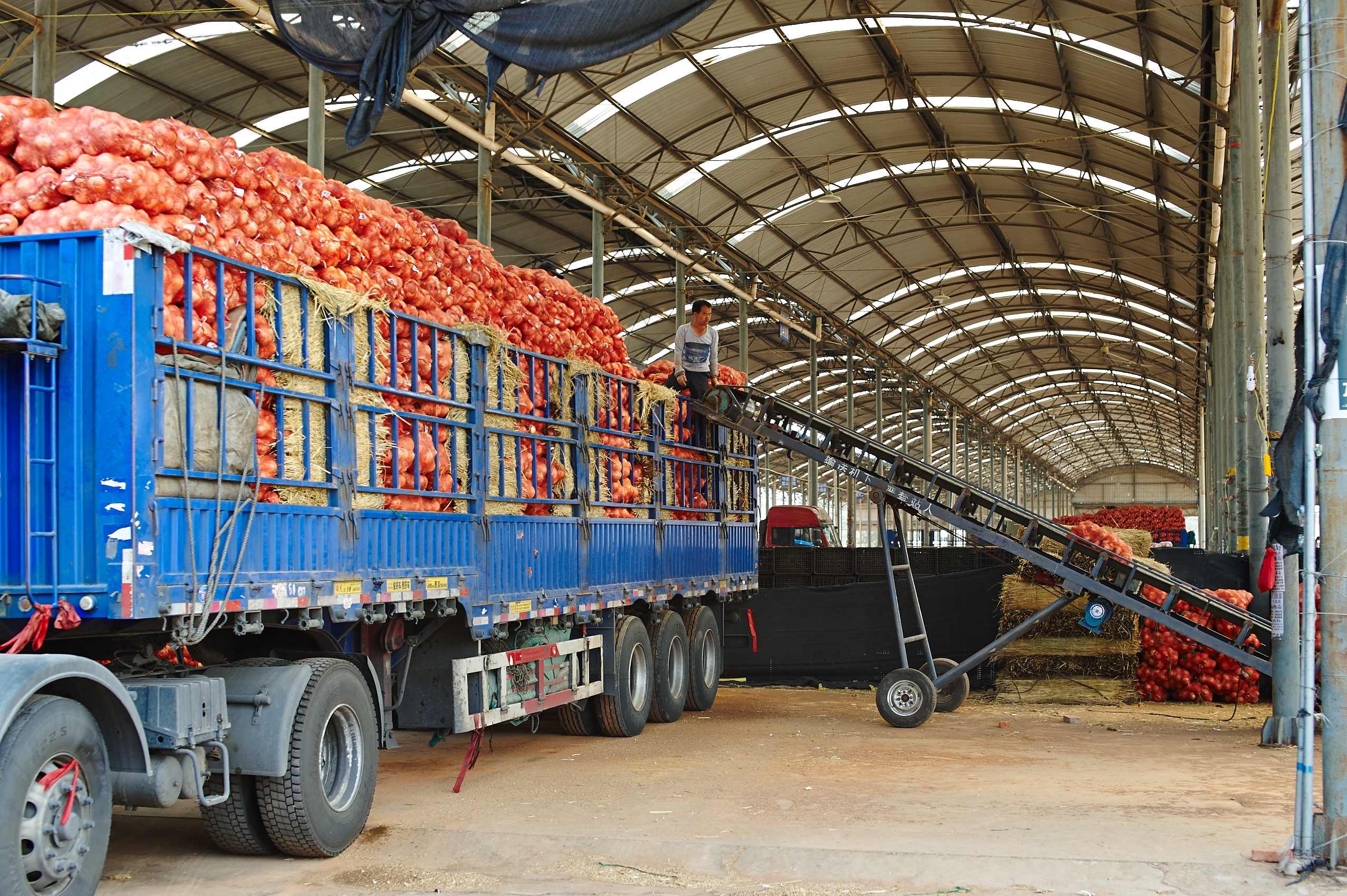 东方人类发祥地，绿色康养在元谋（3）┃冬早蔬菜之乡：金江沙畔“大菜园”，成昆线上“菜篮子”