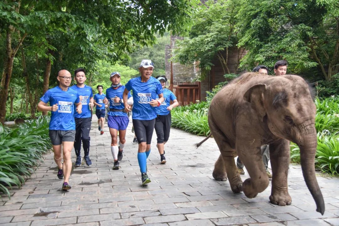户外运动东风来,“足尖下的云南”走出不一样的中国故事!