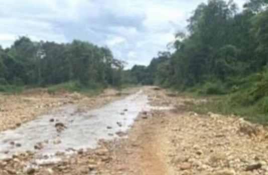 刘大清:加快中缅印公路升级改造建设