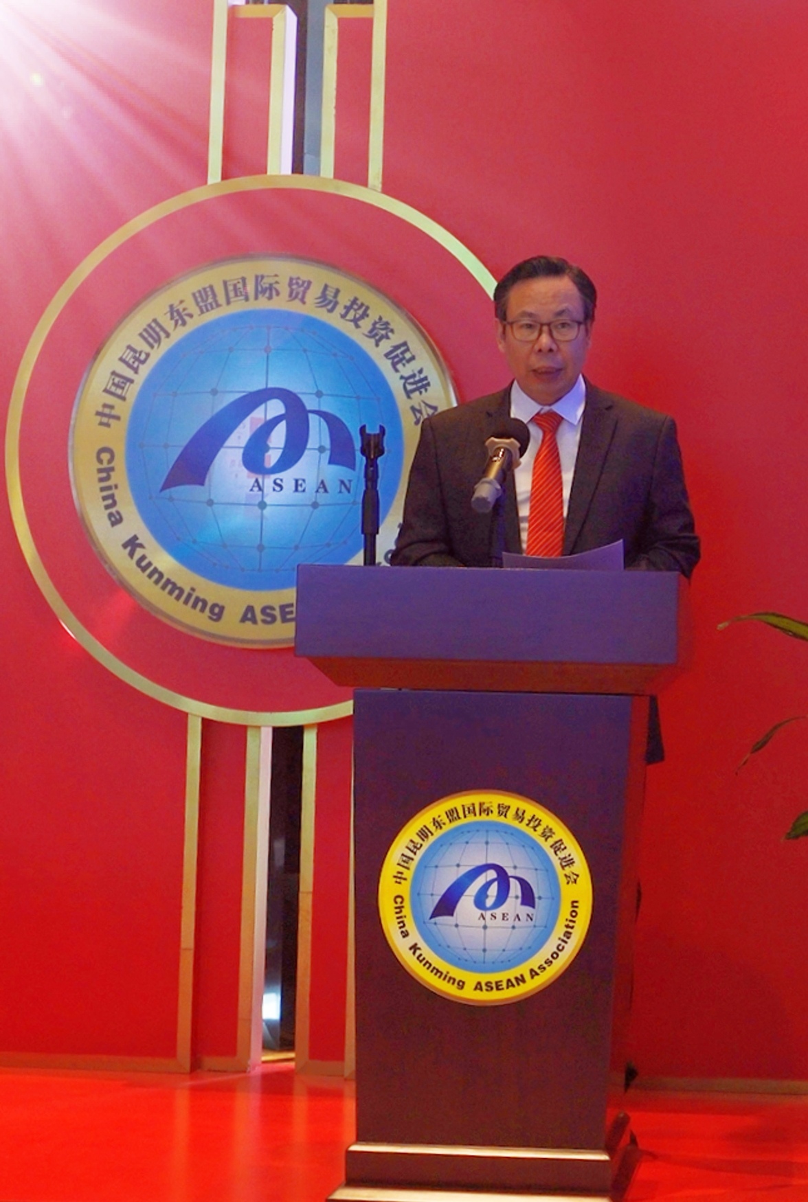 “一带一路”国际日的吉祥鸟被命名为和平鸥