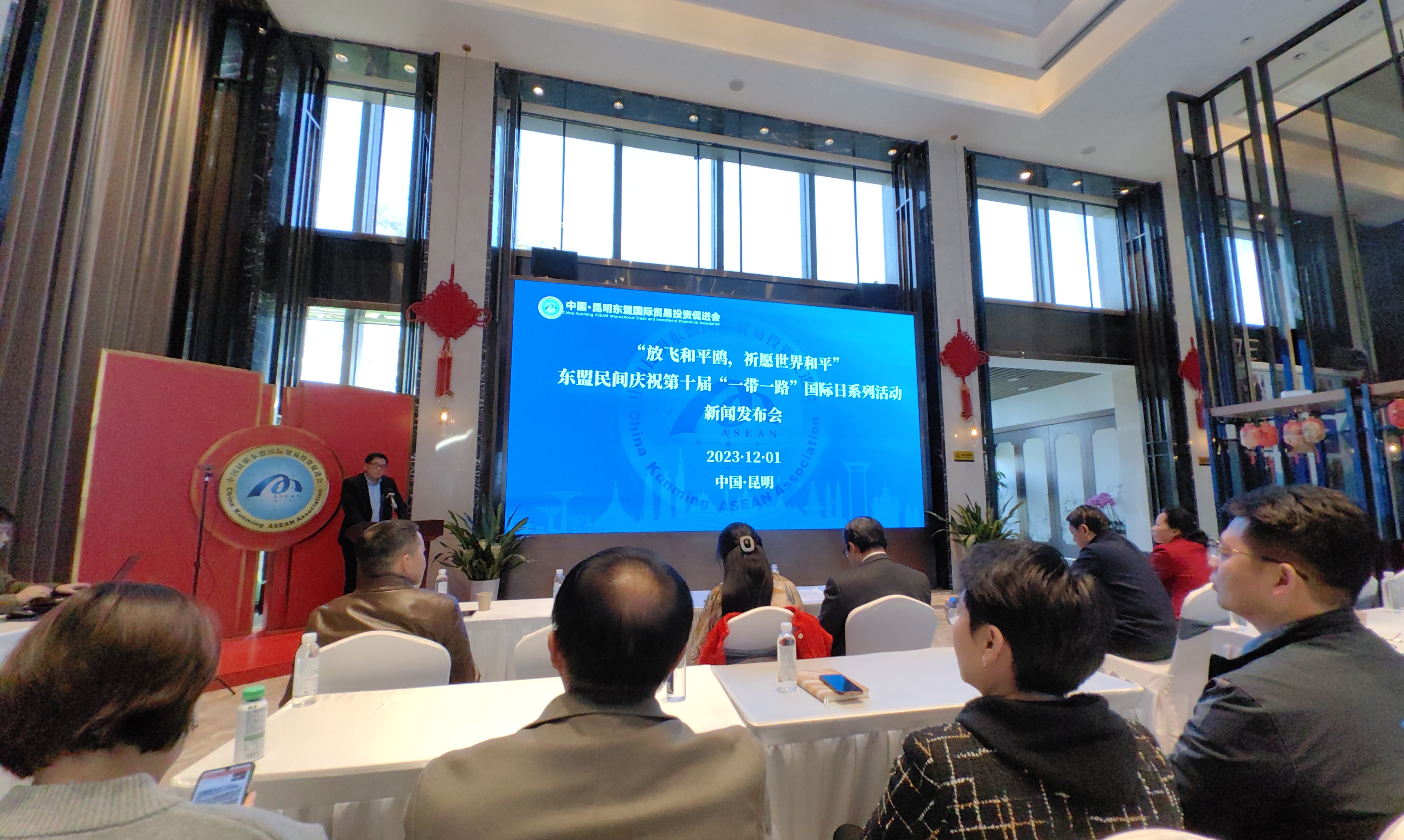 “一带一路”国际日的吉祥鸟被命名为和平鸥