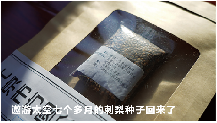 刺梨工坊:守望田园经济 筑梦乡村振兴