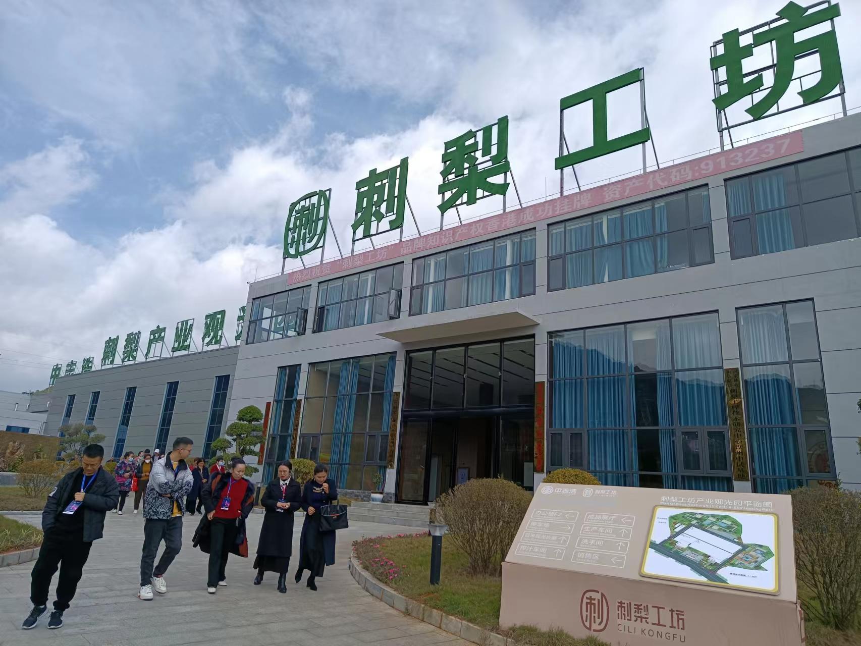 刺梨工坊:守望田园经济 筑梦乡村振兴