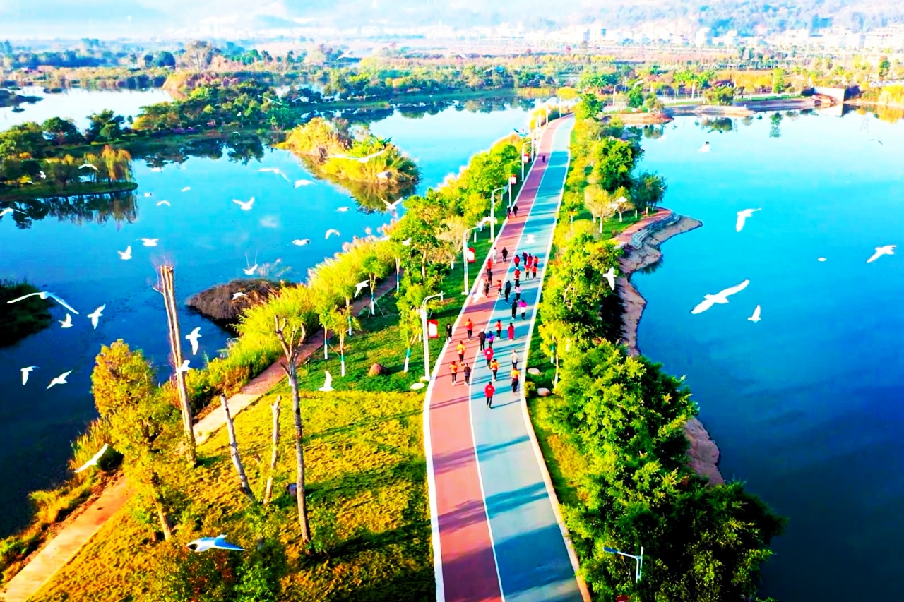 云南政协委员金飞豹：依托美丽乡村马拉松 跟着赛事去旅行