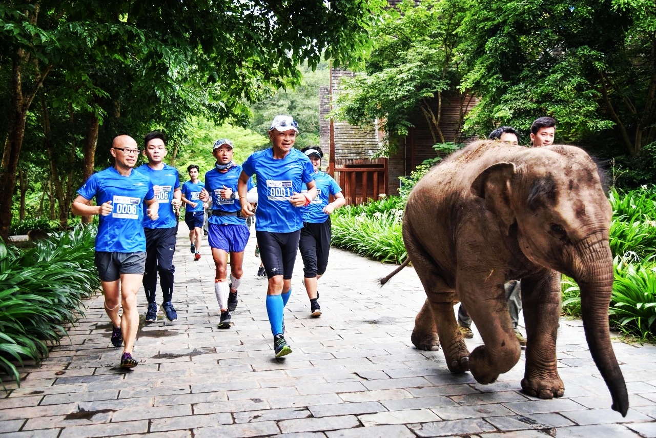 云南政协委员金飞豹：依托美丽乡村马拉松 跟着赛事去旅行