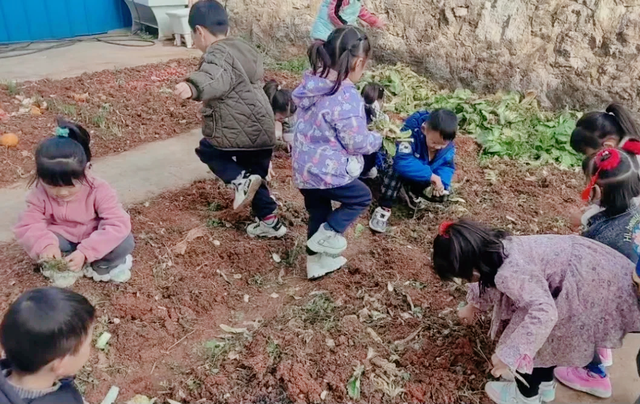 【今日黄冈】豆来豆“趣” 豆出精彩——武穴市实验幼儿园石佛寺园区开展种植活动！
