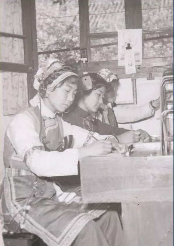 和昆花:以菌为旗,带领峡谷群众走好乡村振兴路(上)