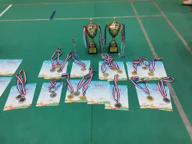 【特别报道】喜讯!武穴市育才高中荣获黄冈市2024首届毽球比赛冠军